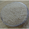 Buy polished glutinous rice