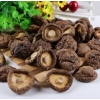 Buy dried mushroom